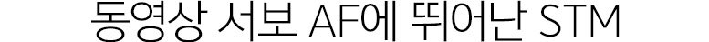 µ¿¿µ»ó ¼º¸ AF¿¡ ¶Ù¾î³ STM
